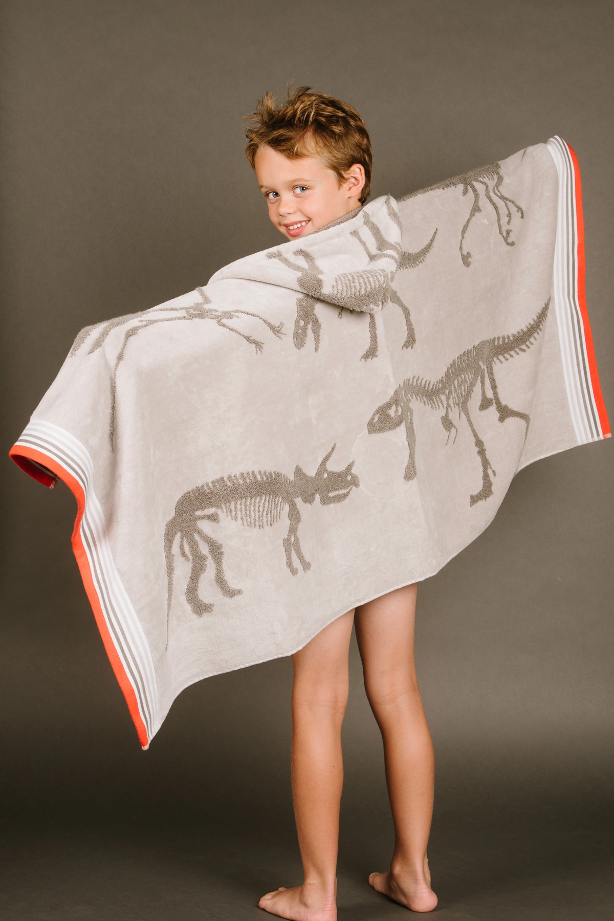 Mesozoic Grey Towels